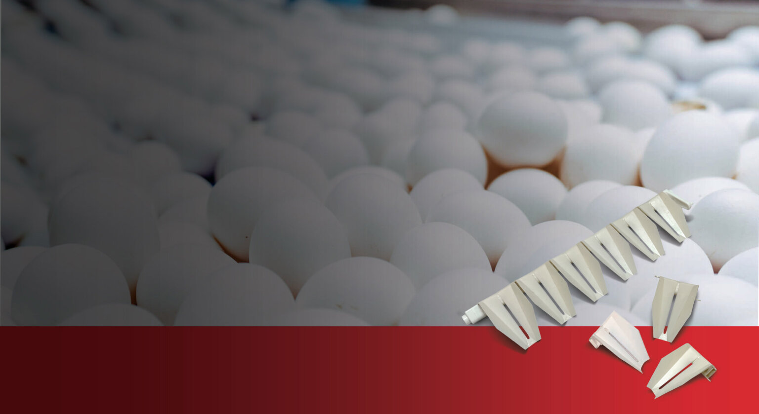 Egg Buffer Cups Get a Design Update! Diversified Plastics, Inc.