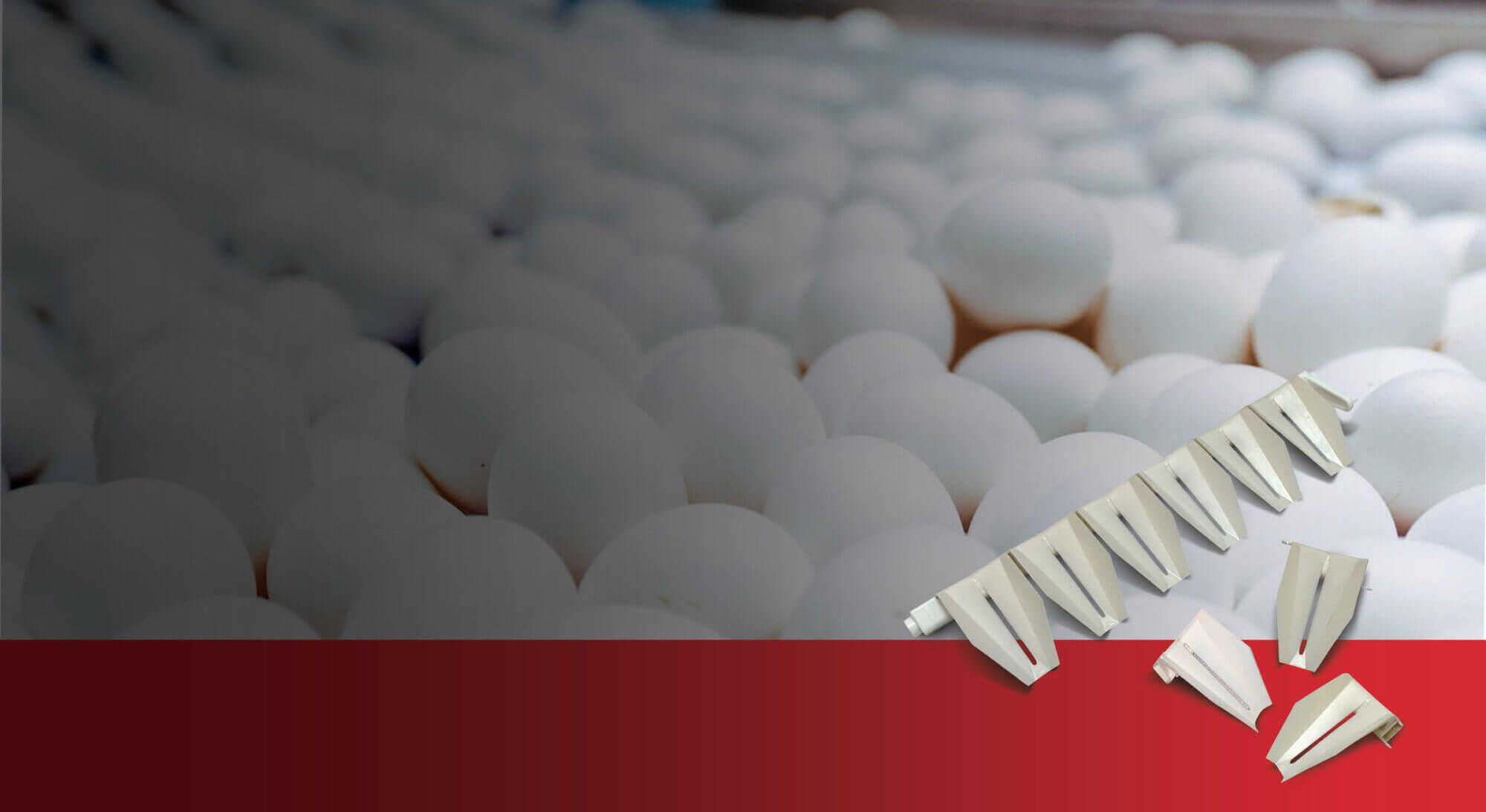 Egg Buffer Cups Get a Design Update! - Diversified Plastics, Inc.